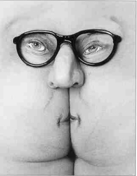 Faccia di c..